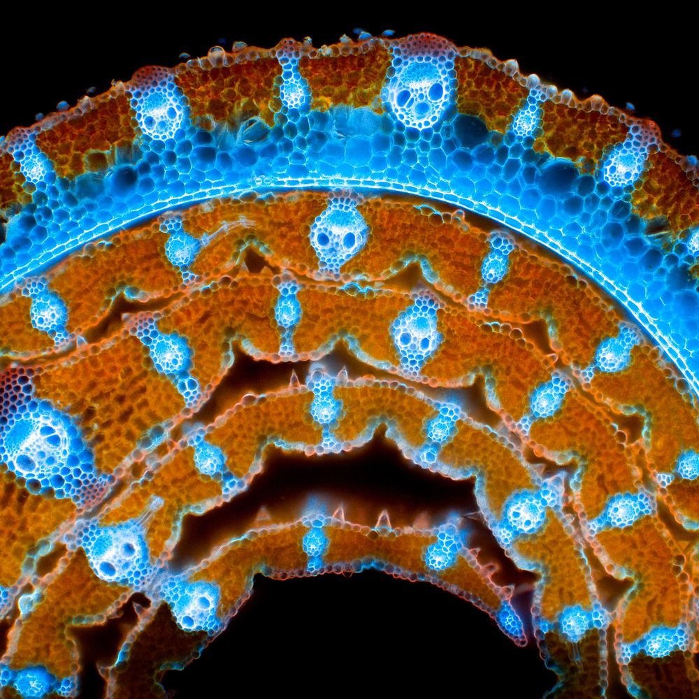 2024-07-14-12.48.24 ZS PMax.jpg