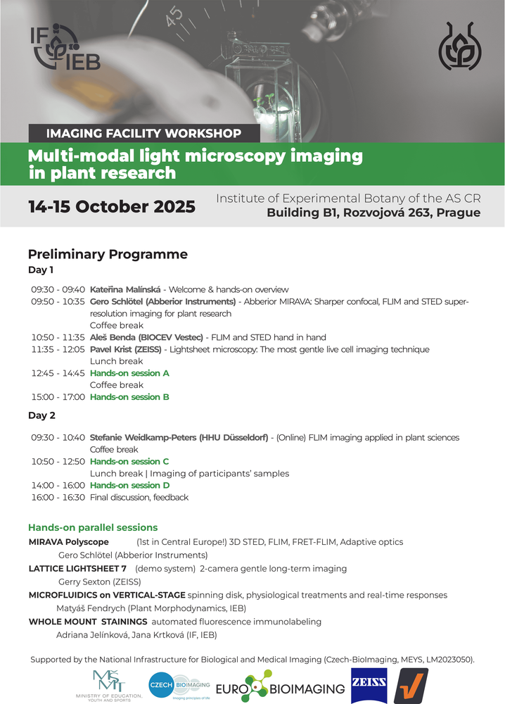 2025_workshop_programme.png