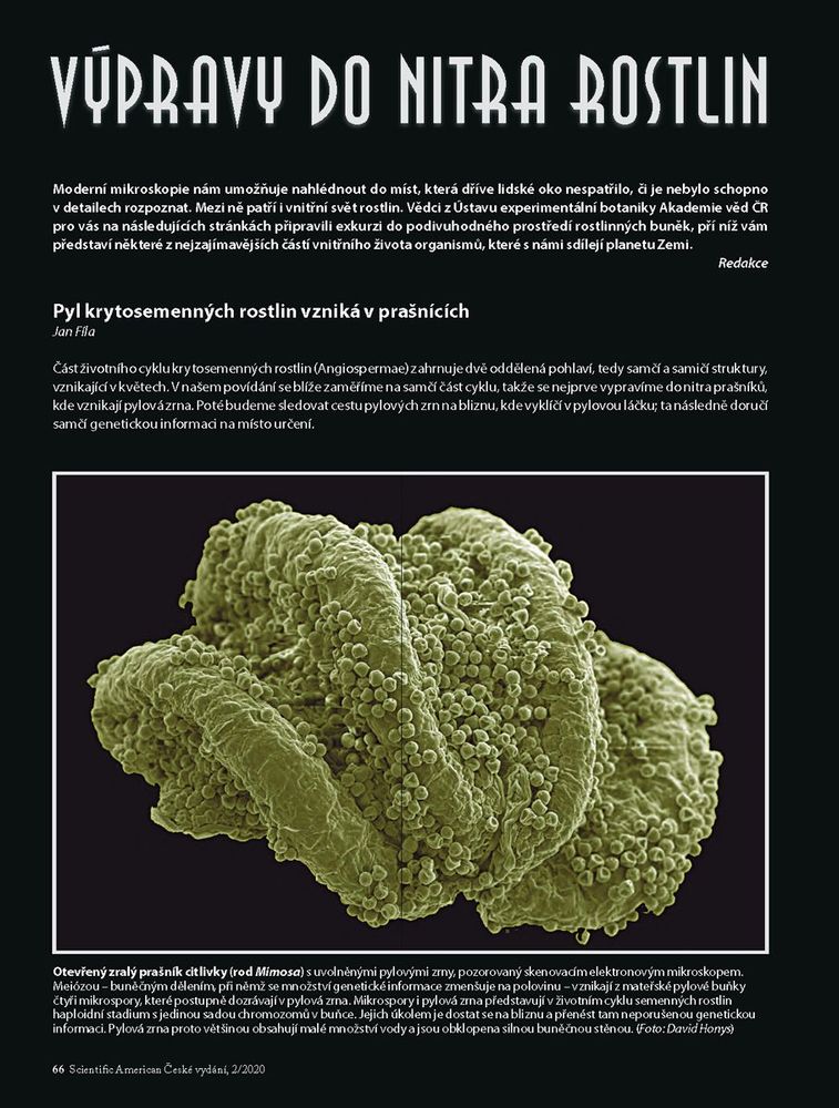 vypravy_do_nitra_rostlin_sciam-ueb_stranka_1.jpg