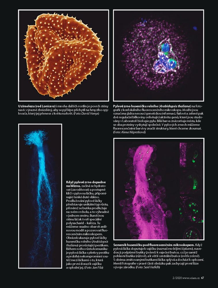vypravy_do_nitra_rostlin_sciam-ueb_stranka_2.jpg