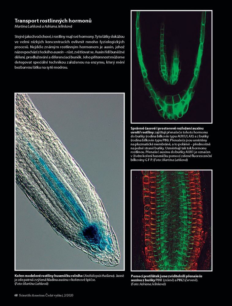 vypravy_do_nitra_rostlin_sciam-ueb_stranka_3.jpg