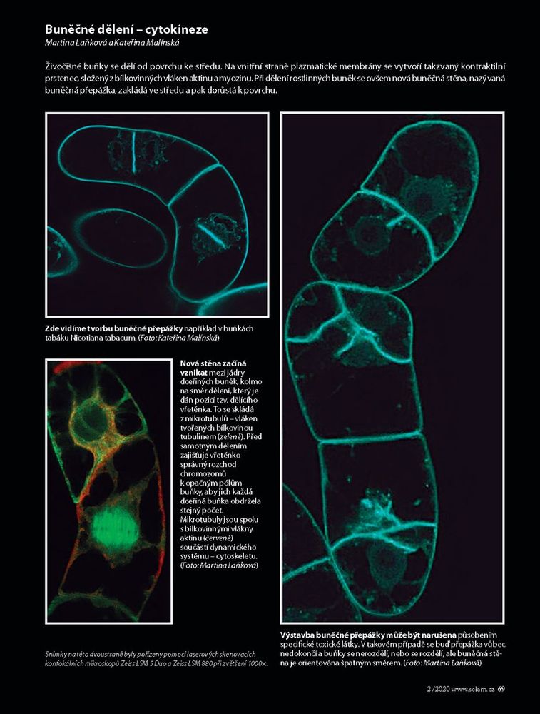 vypravy_do_nitra_rostlin_sciam-ueb_stranka_4.jpg