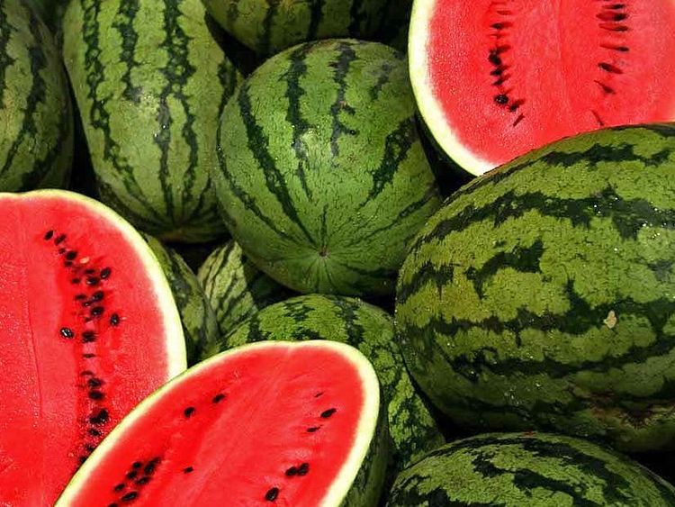 watermelons_upr.jpg