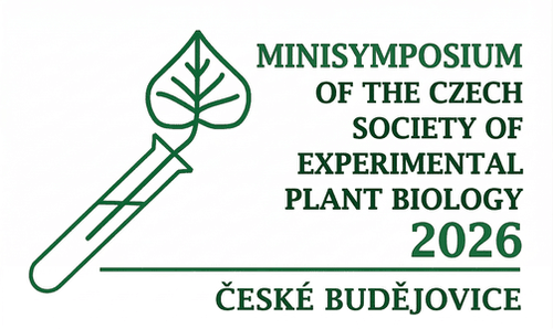 Logo-Minisymposium-CSEBR.png