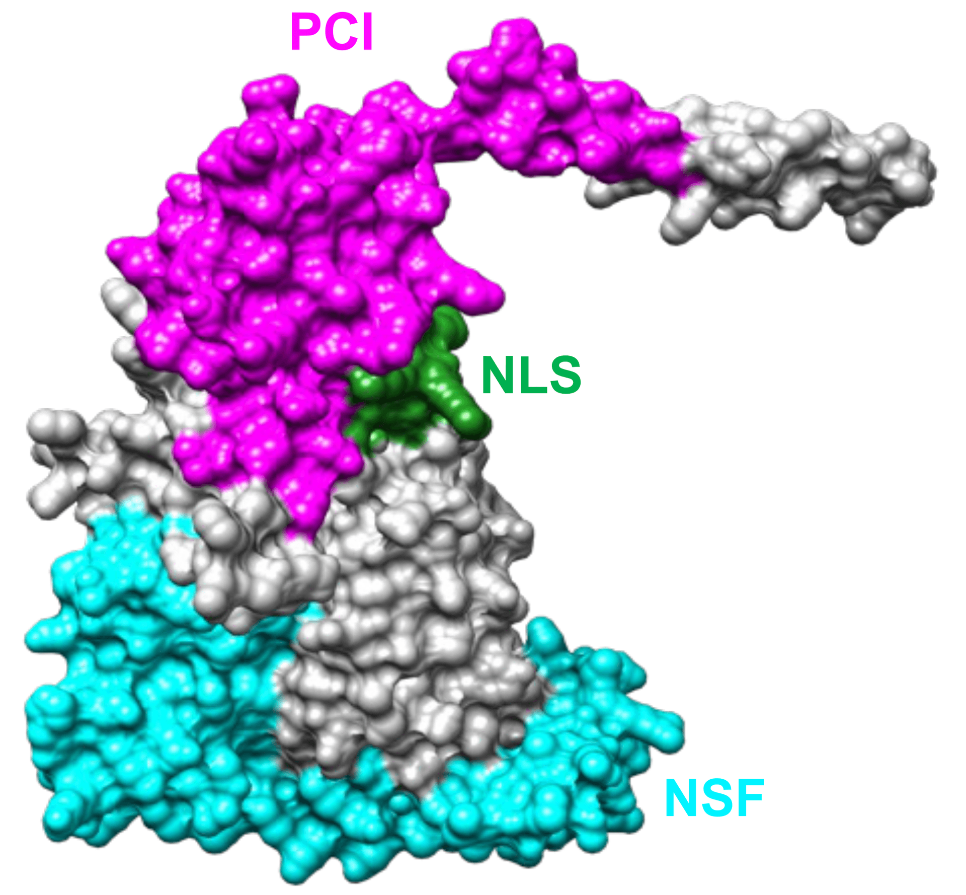 TZ láčky, Obrázek1 s popisky.png